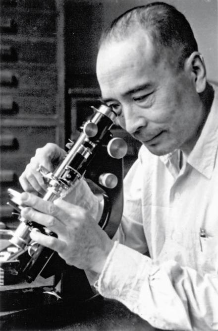 1957 年，孟宪民在鉴定矿物 