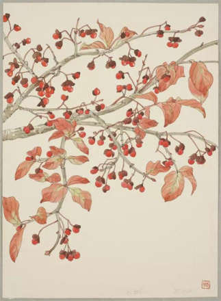 《八树（花椒树）》