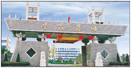 华茂集团