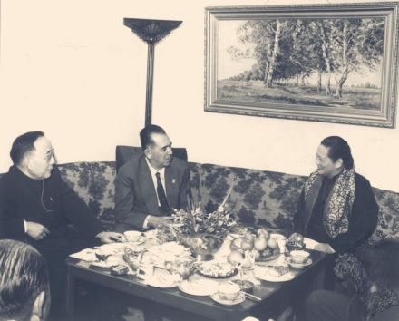 1959年，卡德纳斯会见中国全国人大常委会副委员长宋庆龄 