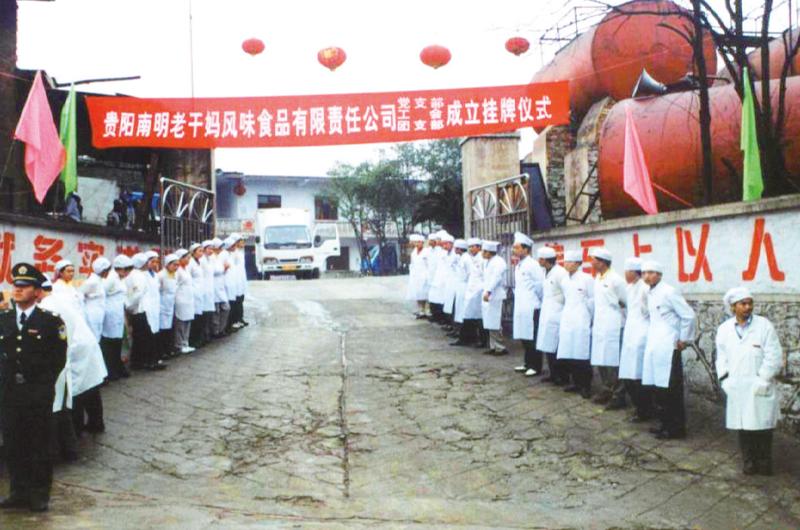 公司正式成立