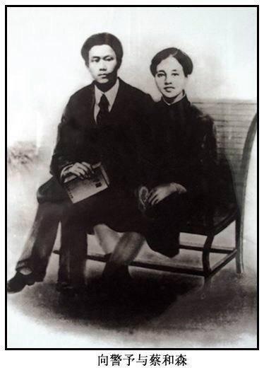 向警予、蔡和森夫妻照