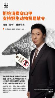穿山甲保护中国推广大使