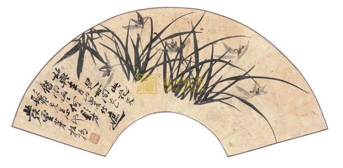 清 郑板桥《兰草》扇