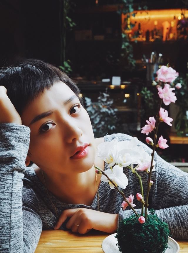 李晓峰的图片