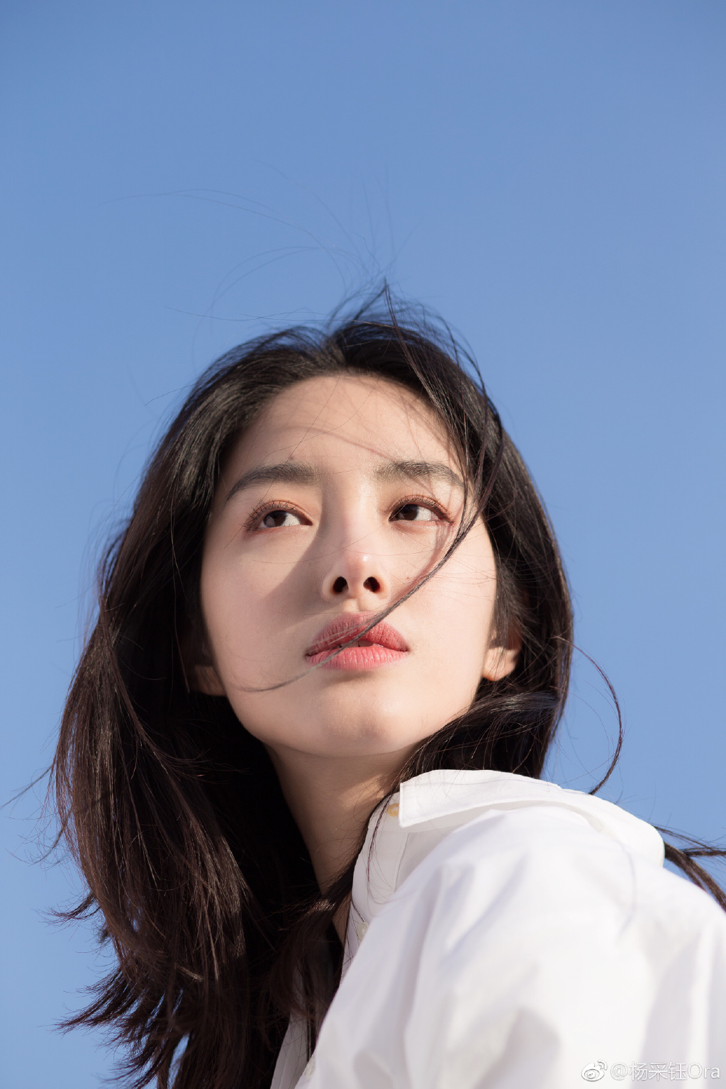 杨采钰的图片