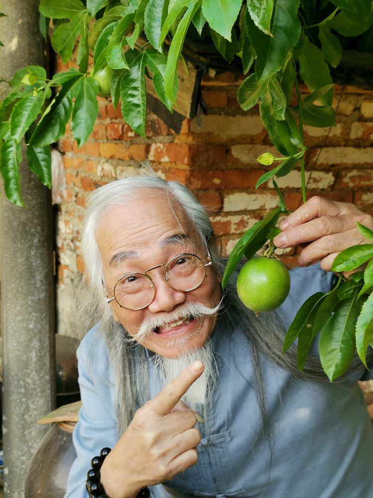 梅达池的图片