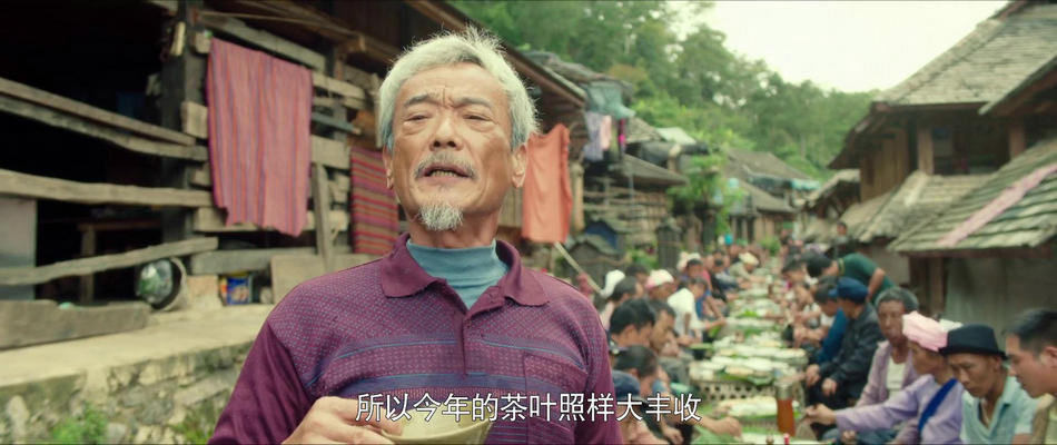 张琪的图片