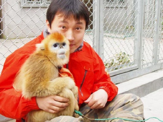 黄炜的图片