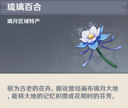 琉璃百合