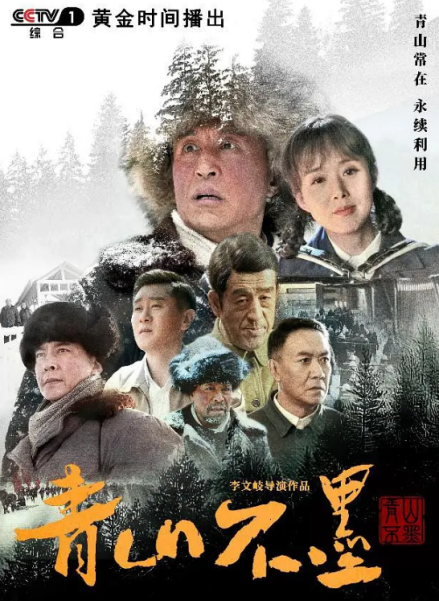 《青山不墨》海报