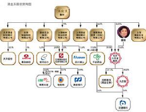 “涌金系”结构图