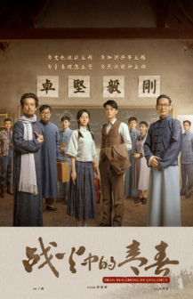 《战火中的青春》海报