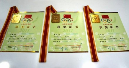 2011石家庄全国跆拳道冠军赛金牌