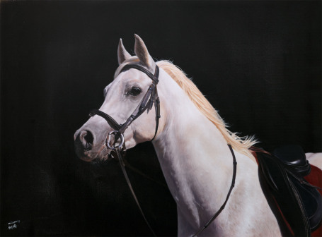 阿拉伯马 60x80cm 布面油画 2020