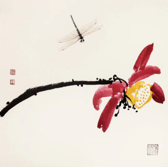 荷花蜻蜓