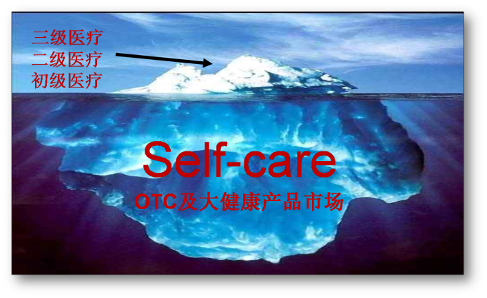 世界自我药疗产业协会