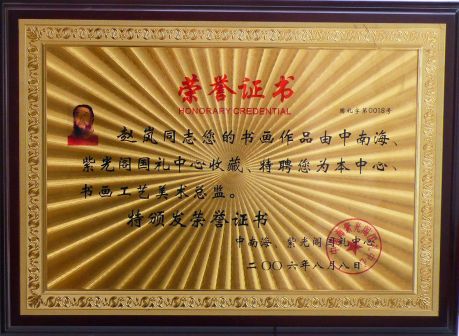 赵岚荣誉证书