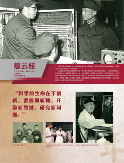 慈云桂