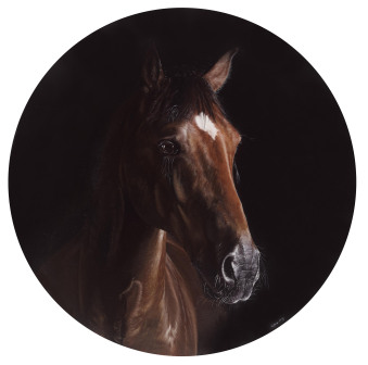 《驹心》 直径60cm  布面油画  2015