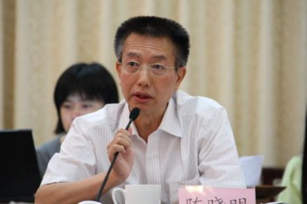 陈晓明
