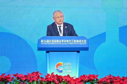 李振国出席第24届亚太电协大会并演讲
