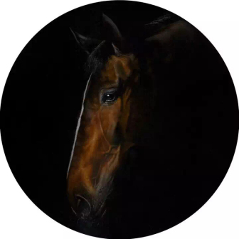 《思考》 直径60cm  布面油画  2015