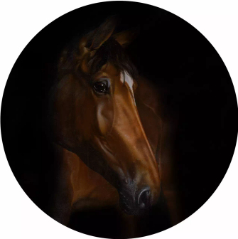 《顾盼生花》 直径60cm  布面油画  2015