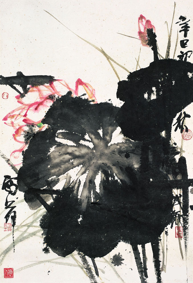 荷花-镜心 