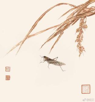 工笔草虫