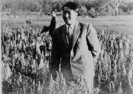1955年，邓叔群在访问匈牙利期间