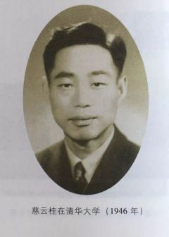 慈云桂