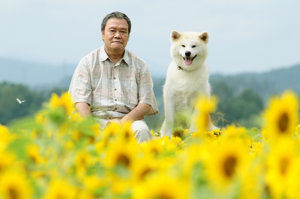 西田敏行的图片