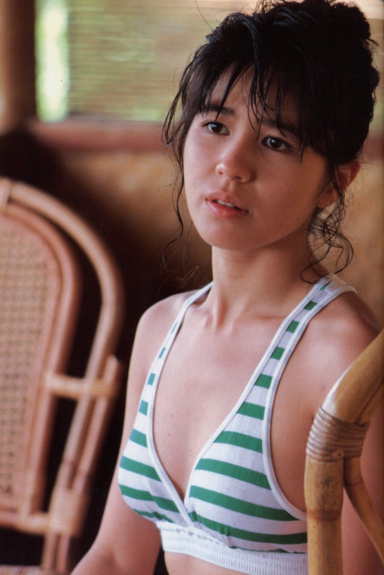 石野真子的图片