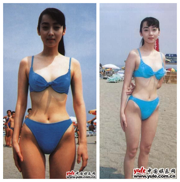 稻森泉的图片