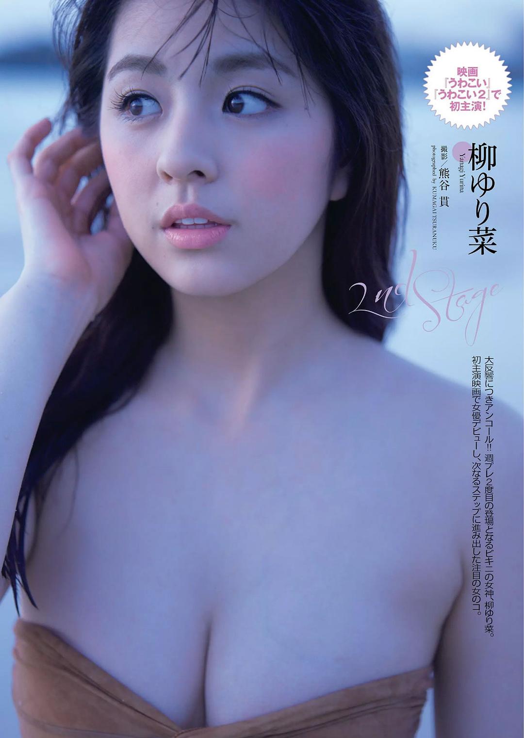 柳百合菜的图片