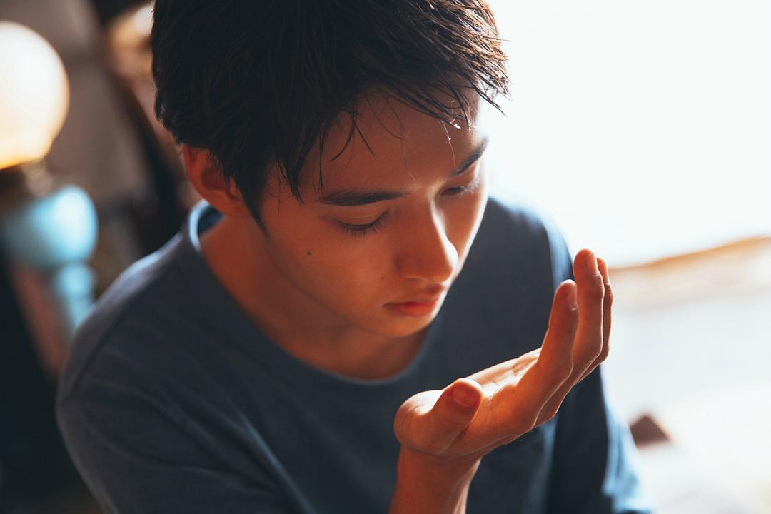 山崎贤人的图片