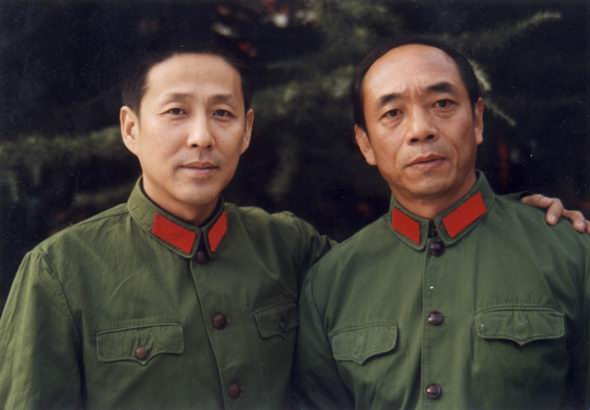 陶泽如的图片