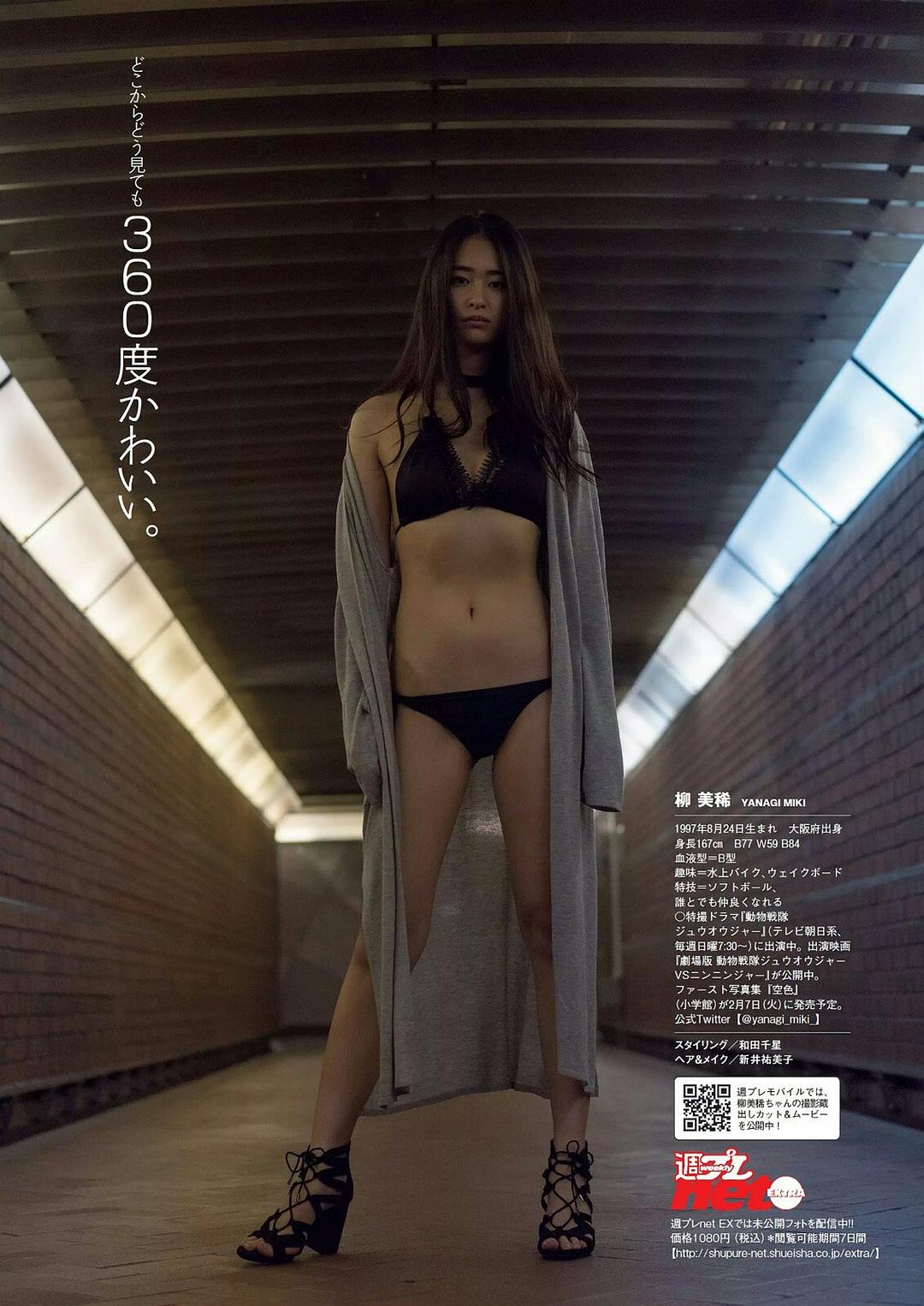 柳美稀的图片