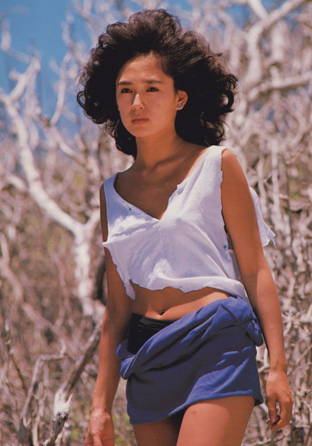 藤谷美和子的图片