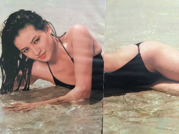夏树阳子的图片