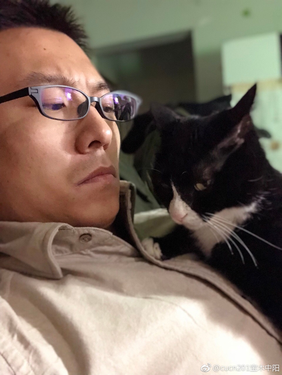 宝木中阳的图片