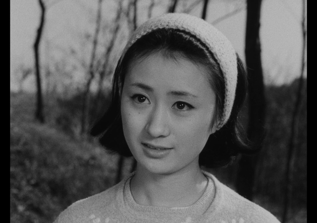 泽井桂子的图片