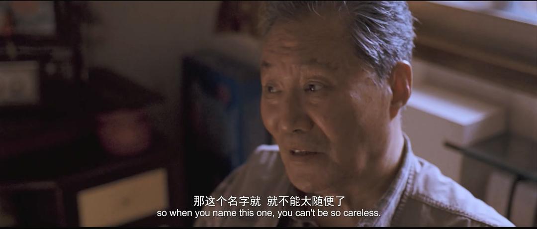 智一桐的图片
