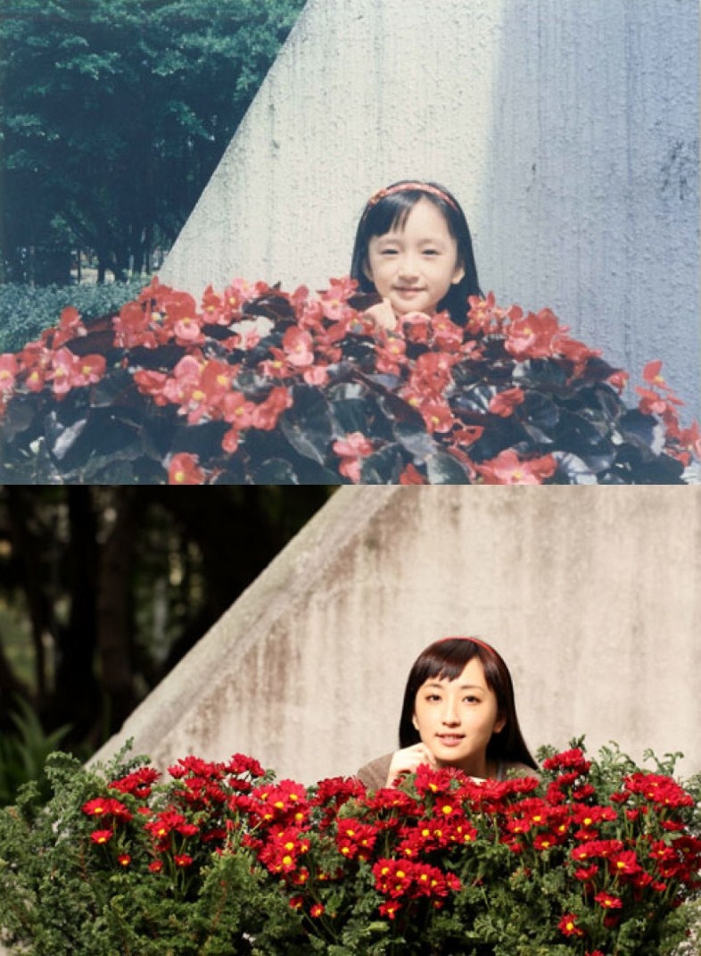 柯佳嬿的图片