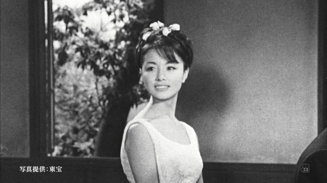 星由里子的图片