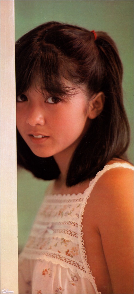 宫崎美子的图片
