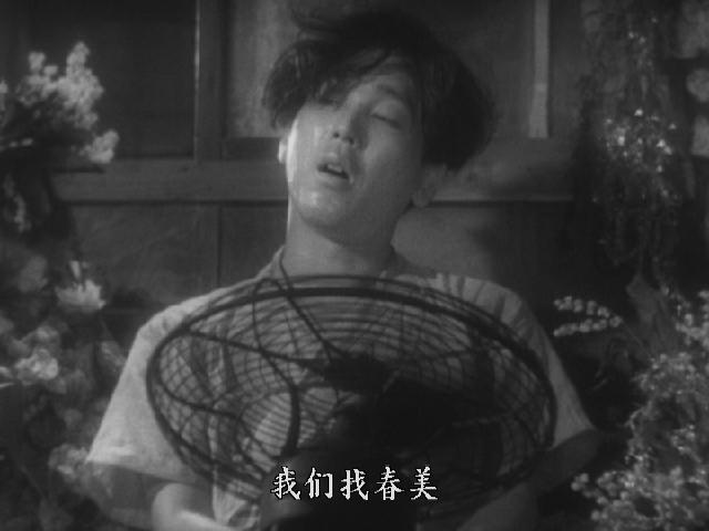 千秋实的图片
