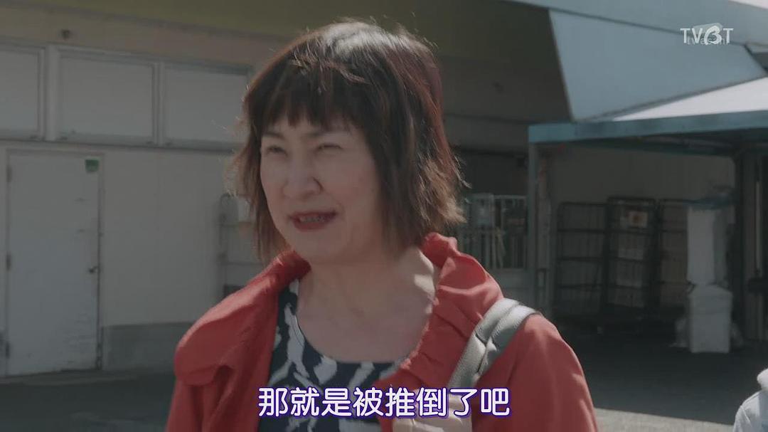 猫背椿的图片
