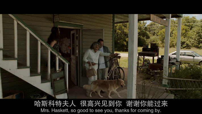 斯特拉·多伊尔的图片